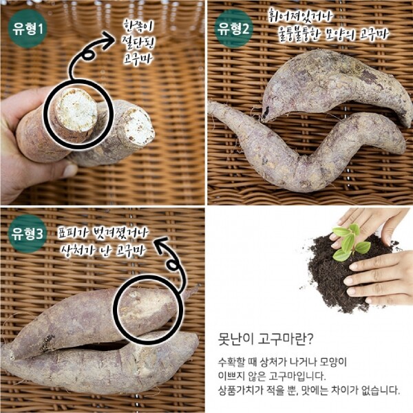 메디앙스 공식몰 아이맘,못난이 햇 꿀 고구마 사이즈 랜덤 3kg 5kg 7kg