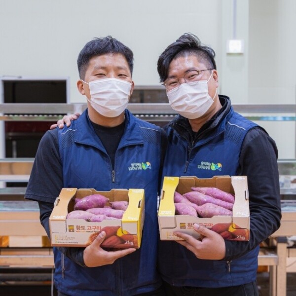 메디앙스 공식몰 아이맘,김제 햇 꿀고구마 특등급 M/L사이즈 3/5/7kg